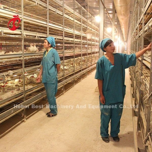طراحی مدرن بطری لایه قفس نوع H قفس مزرعه مرغ ISO14001 امیلی