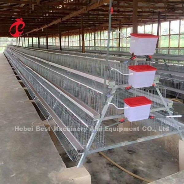سیستم قفس باتری لایه ای مرغ تجاری 2.0 متر * 2.0 متر * 1.45 متر در ستاره نیجریه