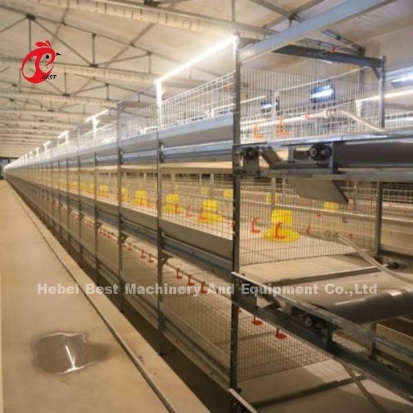 قفس مرغ گوشتی H Type CE , تجهیزات قفس تمام اتوماتیک جوجه های گوشتی Adela